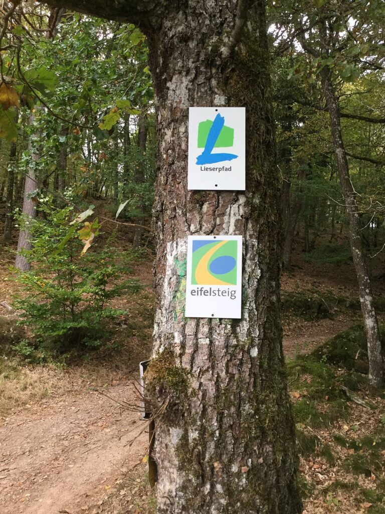 Baum mit Hinweisschildern für Wanderer zur Orientierung