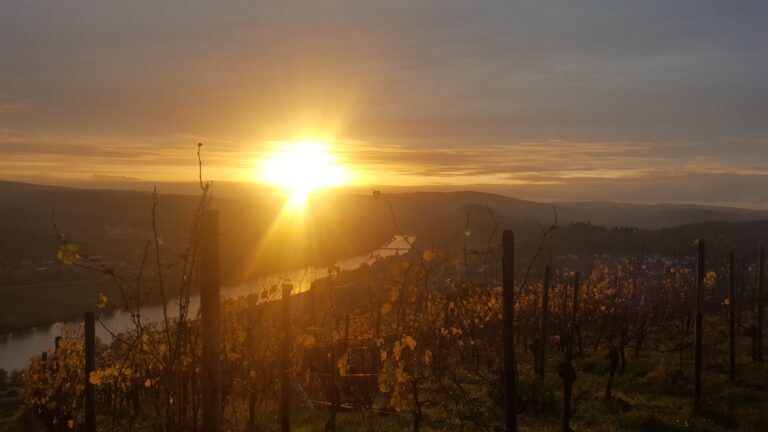 Sonnenuntergang über dem Moseltal bei Lieser