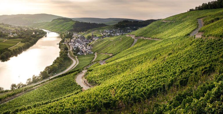 Blick von Kues auf die Weinlage Niederberg-Helden, Lieser und die Mosel