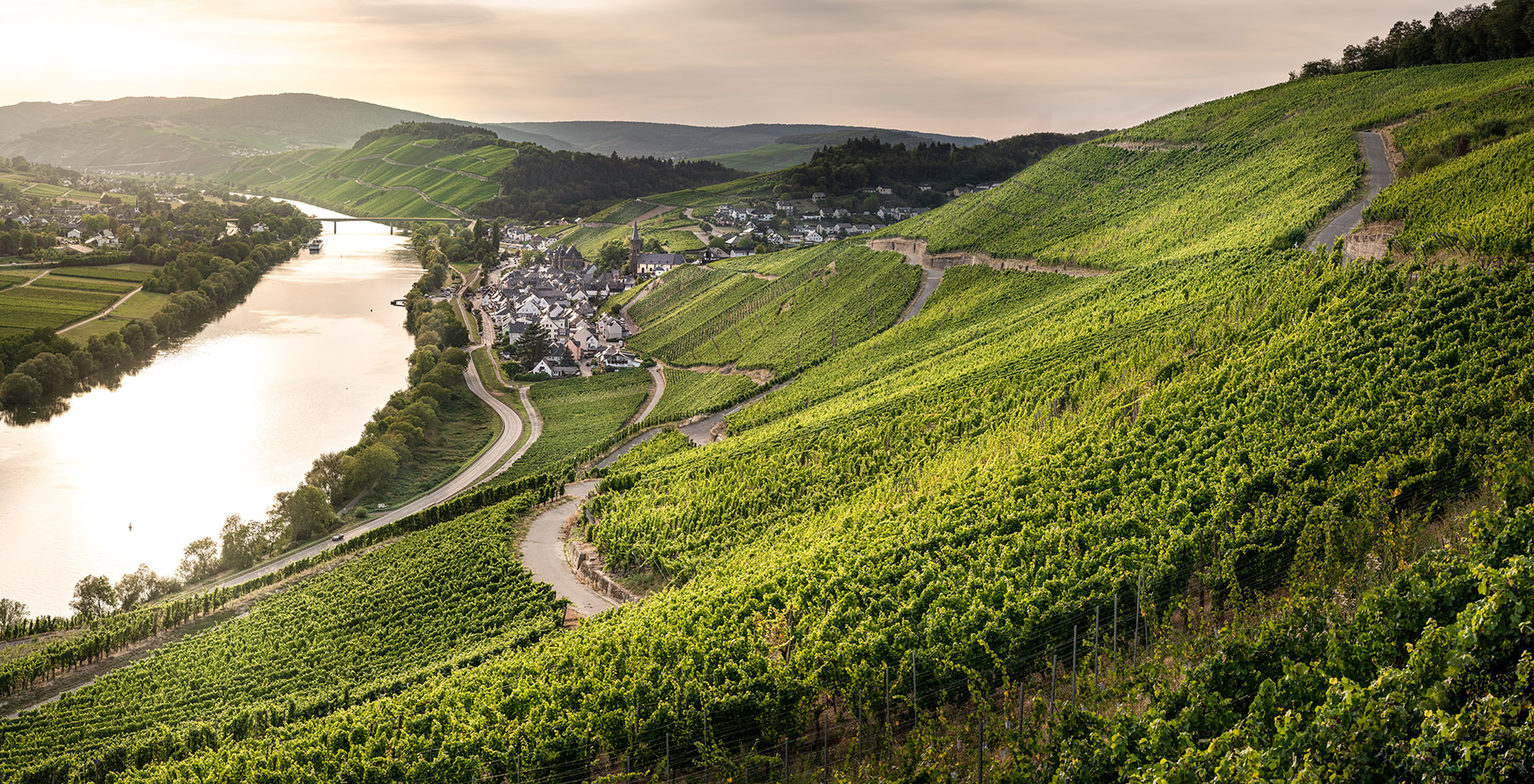 Mosel-Camino