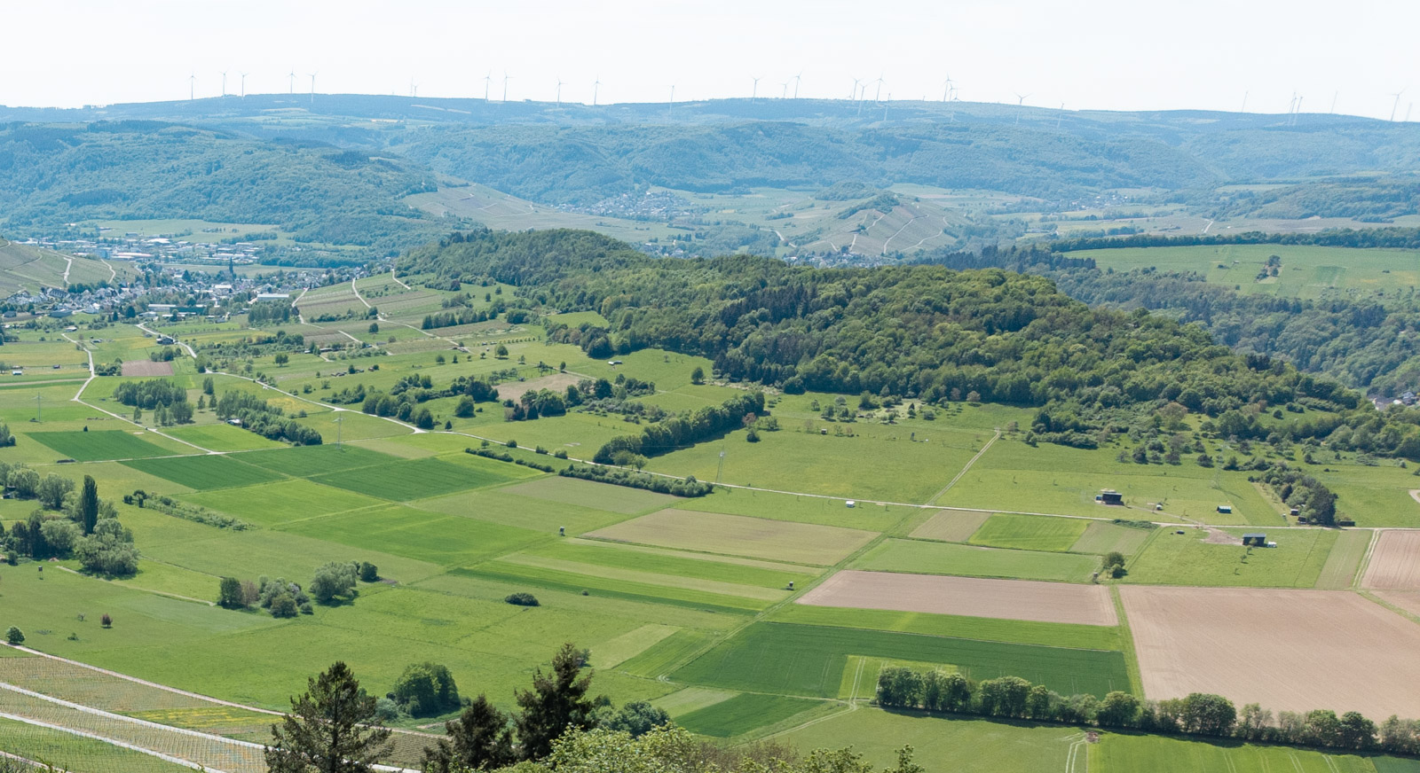 Honigberg-Tour